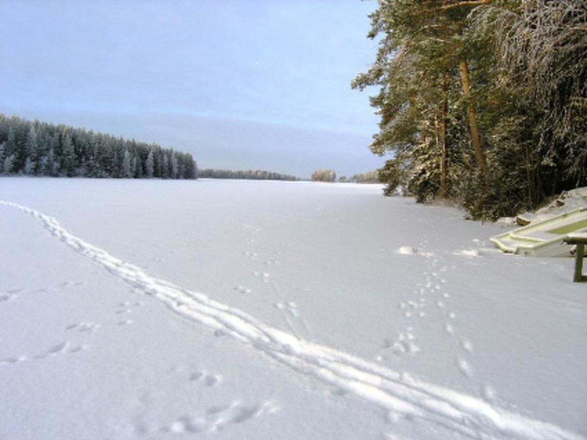 Дома для отпуска Holiday Home Willa kasari Hakoniemi-29
